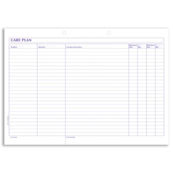 kzcp kalamazoo care plan